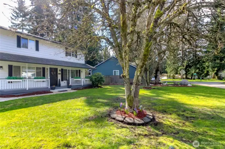 Lush front yard full of mature landscaping.
