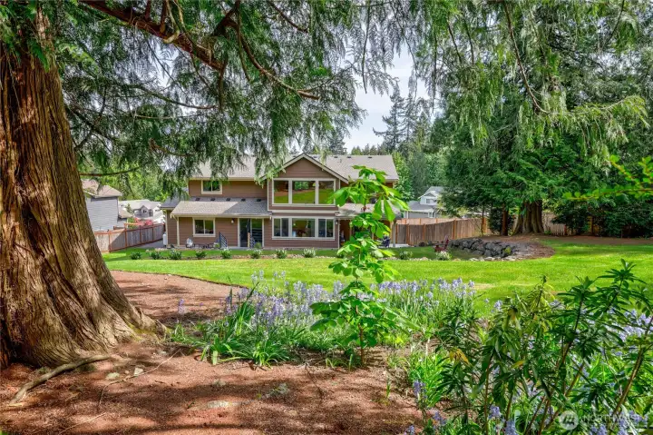 Looking back at the home from the yard