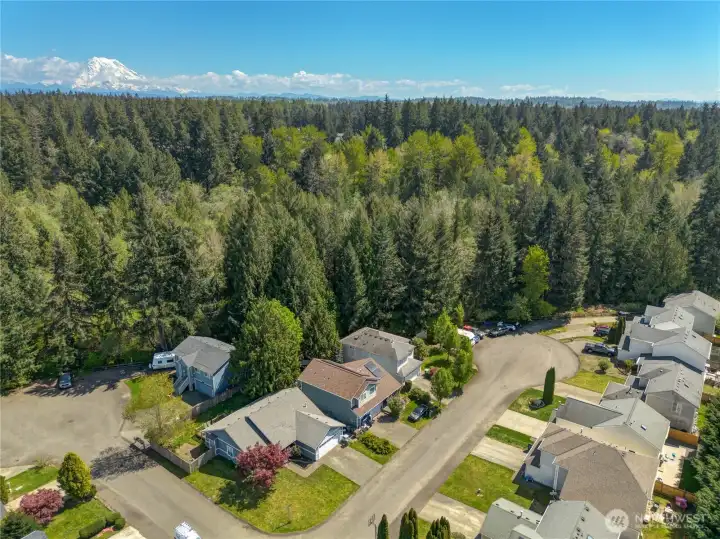 Located at the end of a cul-de-sac, this home has NO HOA and is in an ideal location close to freeways, amenities and outdoor adventures! You're not too far from Mount Rainier and hiking trails!