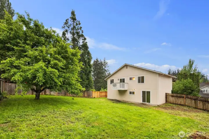Spacious, fully fenced backyard with a mature fruit tree and plenty of room to enjoy the outdoors.