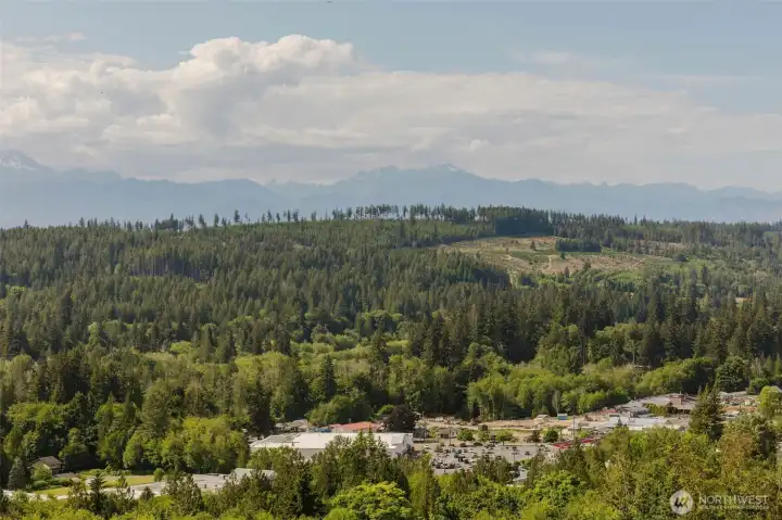 Olympic Mountain Views