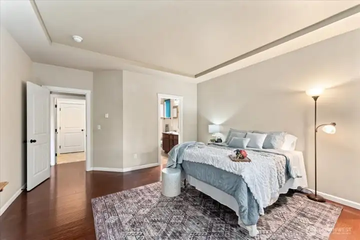 Expansive master bedroom, walk in closet and dual vanity master bath