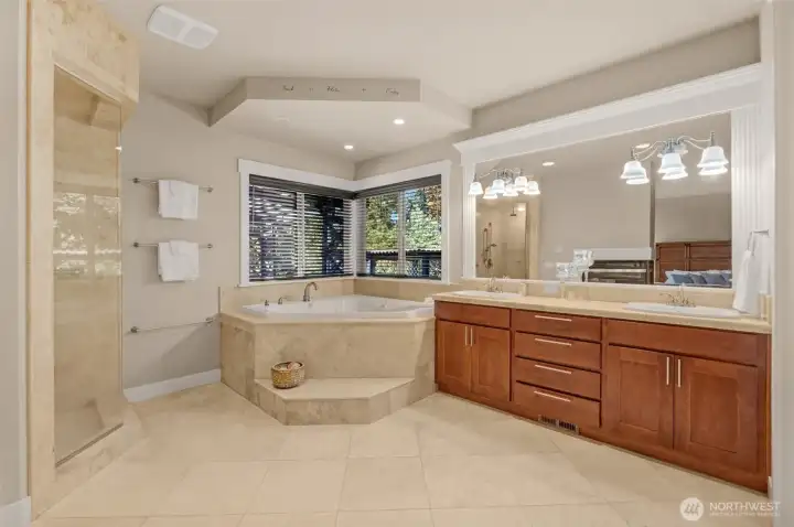 Primary luxury bathroom with jetted tub and separate shower. Primary luxury bathroom with jetted tub and separate shower.