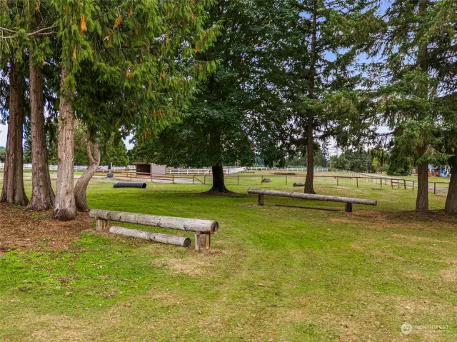 Views of fenced and cross-fenced pastures, dotted with towering trees that create a serene, natural backdrop. The property features run-in sheds for horses and offers a partial view of the cross-country course, making this a perfect setting for equestrian enthusiasts.