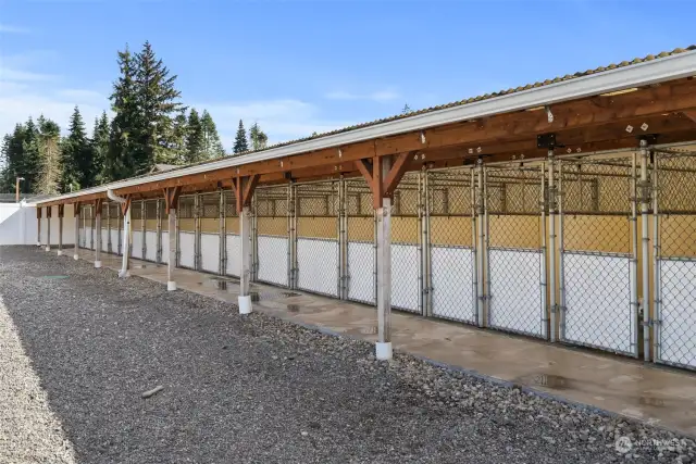 Covered outdoor kennel areas offer access to a fully fenced play areas. With secure fencing and ample room to run and explore.