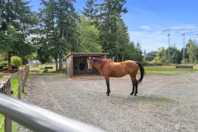 Pastures and paddock areas are securely fenced with a combination of vinyl and 2x6 boards, providing both durability and a clean, polished look. Sand footing surrounds the run-in areas, ensuring excellent drainage and comfort for the horses.