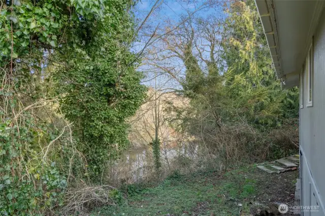 Back yard, with views of creek