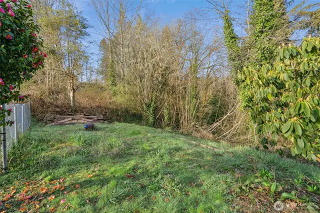 Side yard, plenty of room for gardening with views of creek