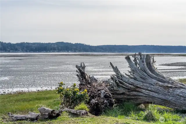 Lynch Cove Beach front park- Hood Canal view