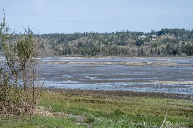 Lynch Cove Beach front park- Hood Canal view