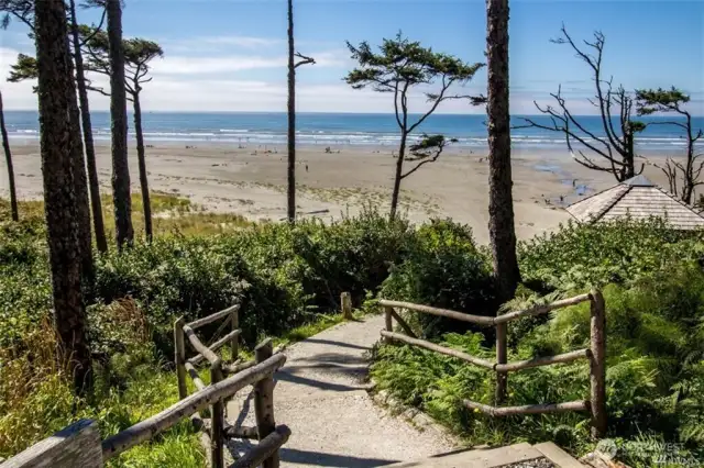 The beach is the ultimate attraction.