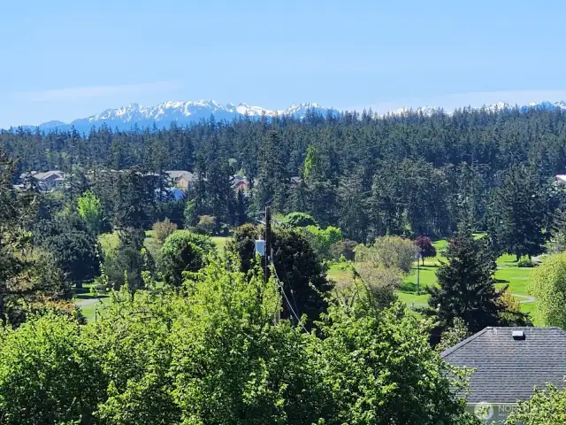 View from the front yard and the living room.