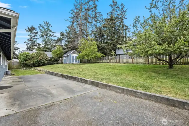 Stepping out from the slider, you can see the large back yard area.