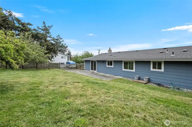 Looking eastward in the large backyard. So much room to play!