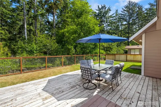 Large Back Deck