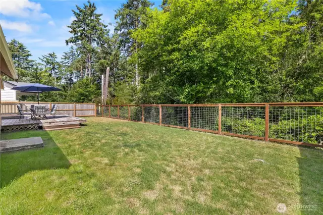 Fenced Backyard
