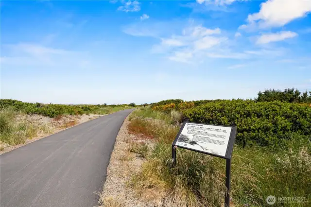 Beach Access