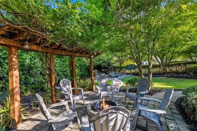 Firepit with wisteria sun shade