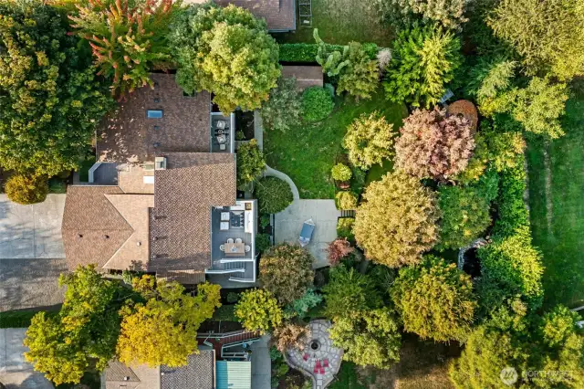 Arial view of large property w/ mature landscaping