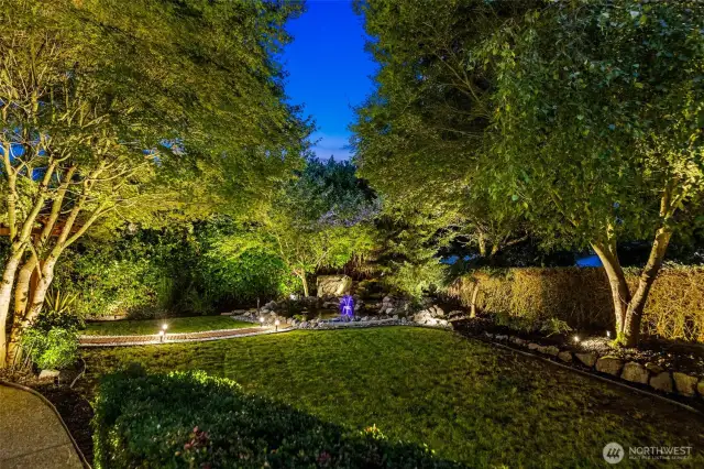 Pond night vibe