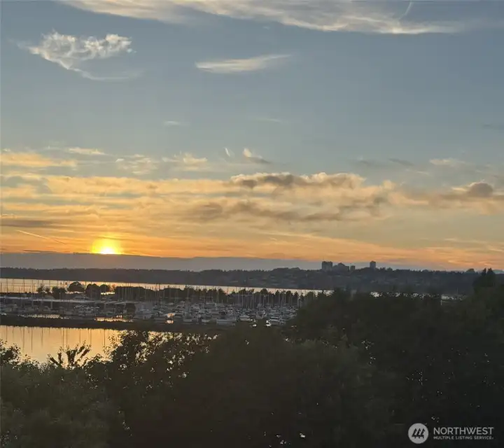 This waterfront view never gets old. A daily dose of nature and beauty right outside your window.