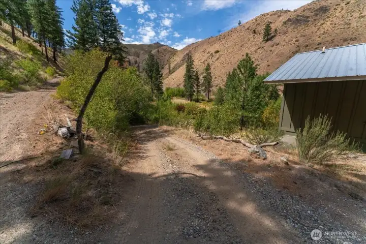 Looking back down the driveway.