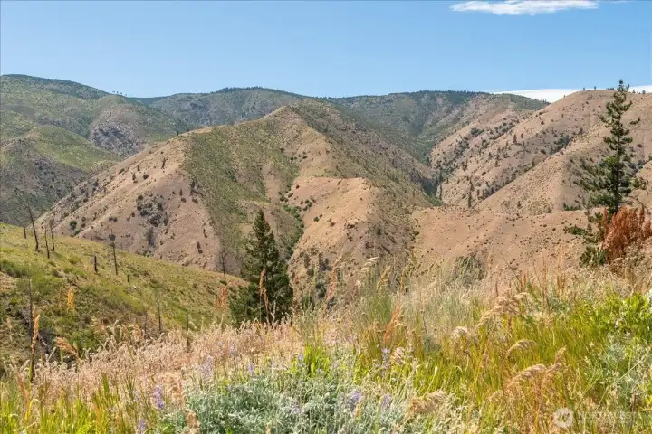 View from the top of the property.
