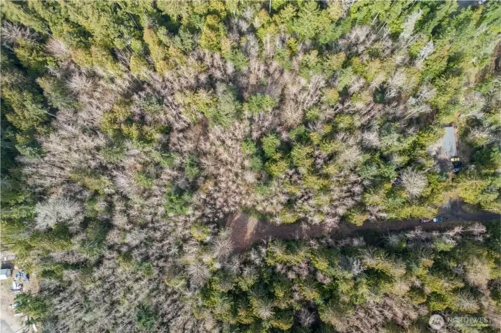 Sky Shot showing FoxDen going right from center Driveway Round