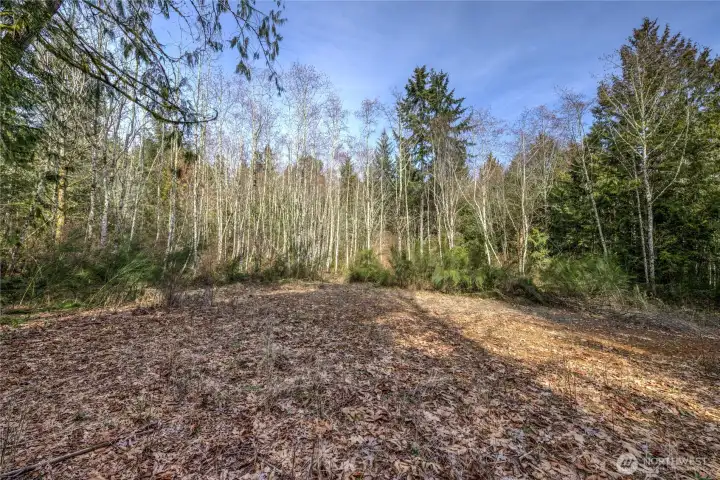 Looking toward the edge of Lot B from the FoxDen Round. This is the already built Access Circle on FoxDen