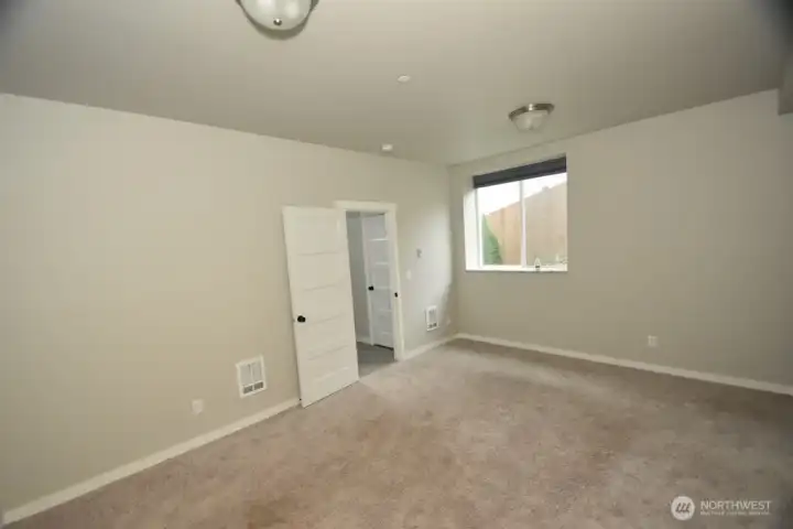 2nd Bedroom on Lower level with full bathroom