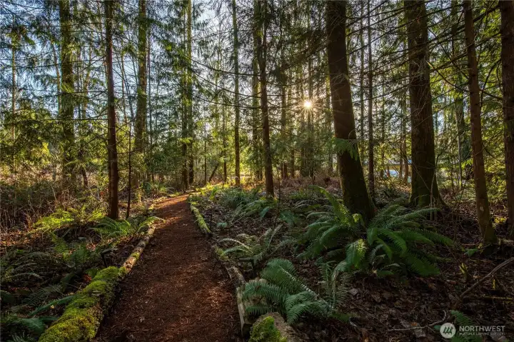 Private path to the lake