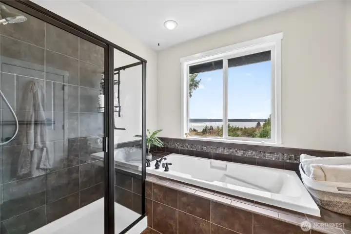 View soaking tub, shower, w/c, double vanity, walk in closet