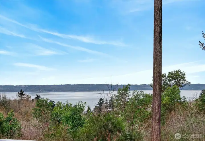 View of Puget Sound and Vashon Island over Salmon Creek Reserve. Sunsets behind the Olympic Mtns.