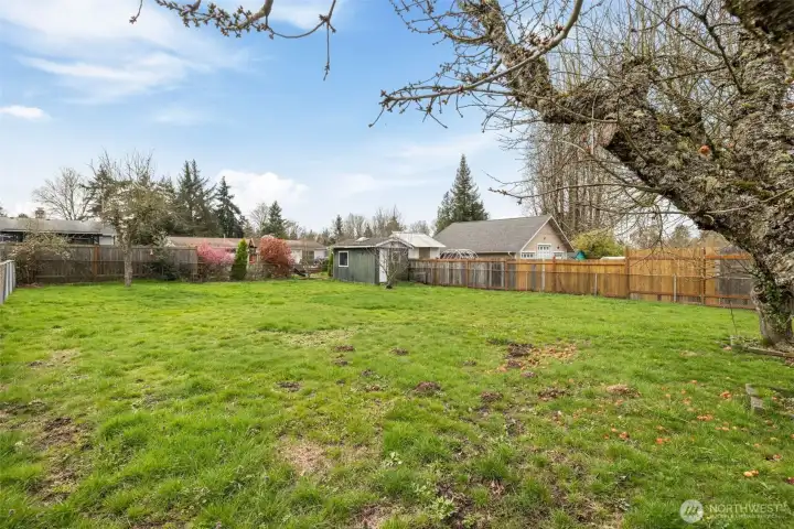 Back Yard with 2nd shed or workshop