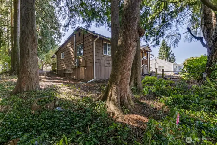 1929 1200 square foot rambler is on post & pier (easier to remove). Note the survey stake, both lots have been surveyed with the corners marked.