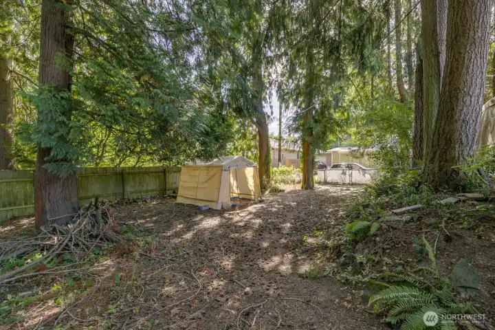 looking south to the alley on the vacant lot.