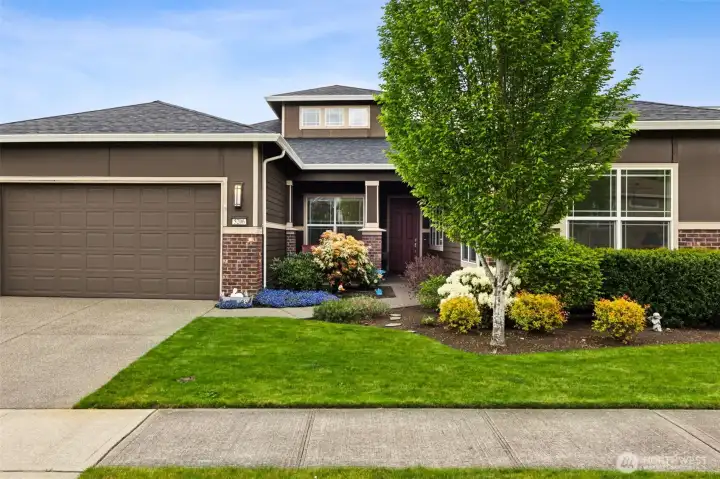 Desirable Shea built Messina Floorplan