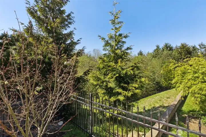 Fully fenced backyard