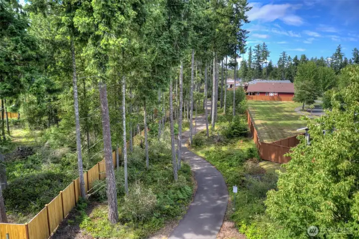 Trails take you throughout community
