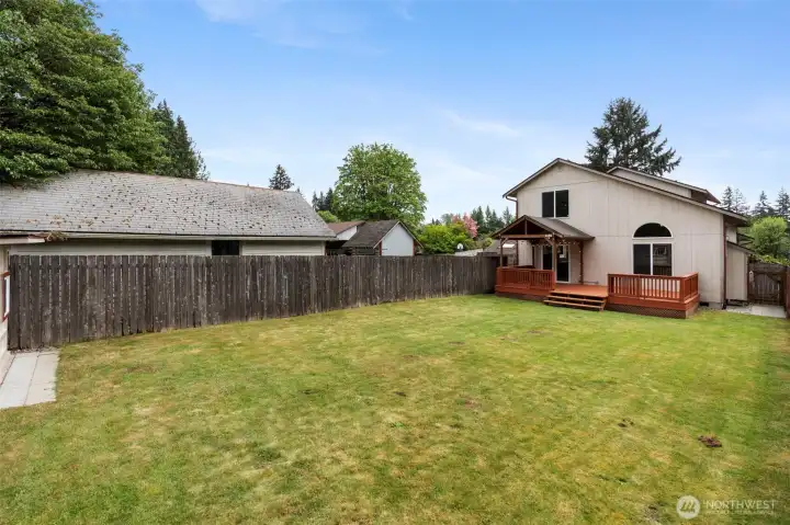 Backyard