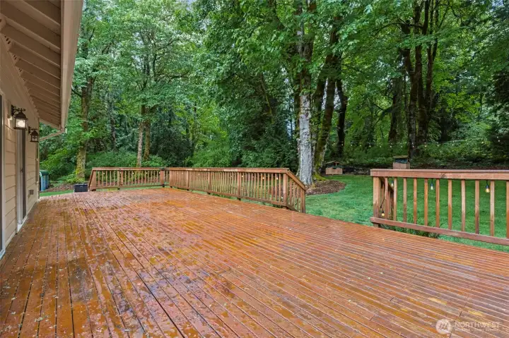Spacious deck with privacy and serenity of cedar trees, eagles & owls, and the beautiful acreage!
