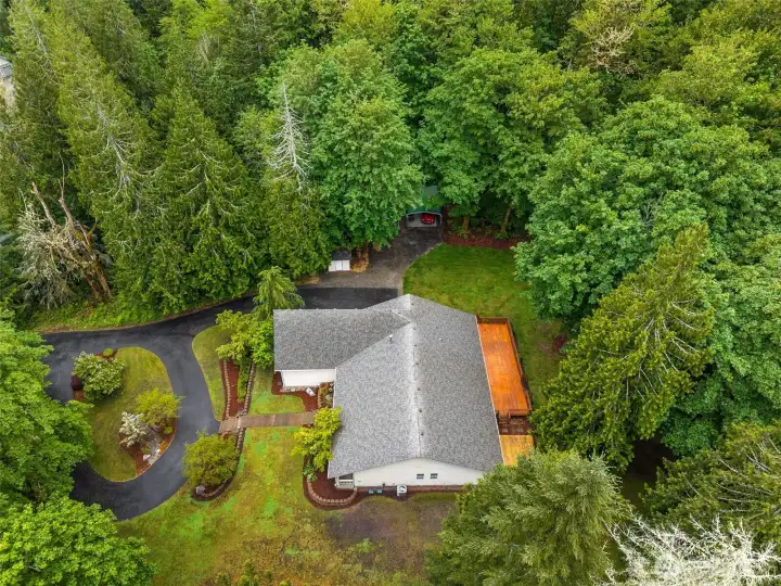 Privacy and serenity of cedar trees, eagles & owls, and the beautiful acreage!