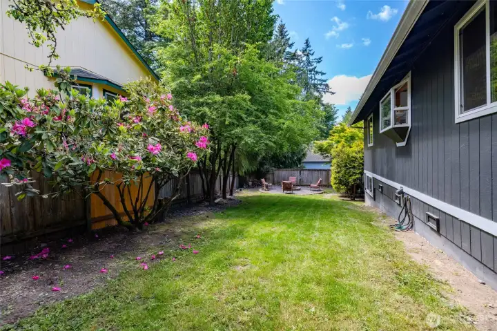 Side yard