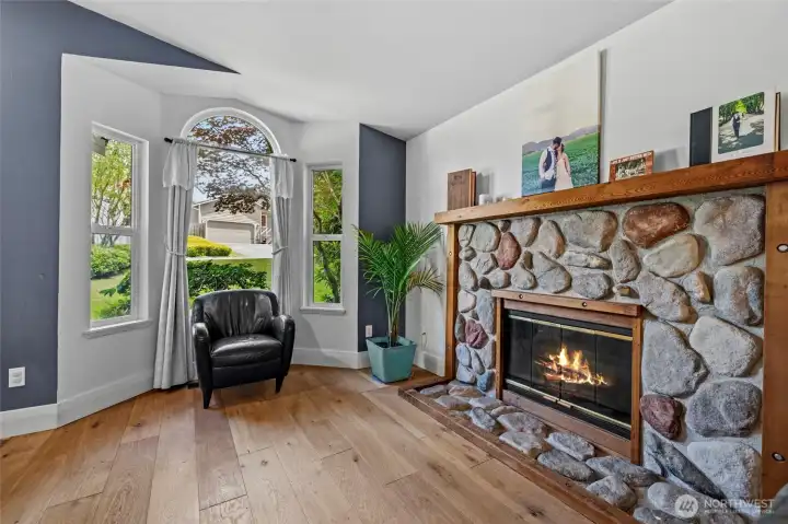 Gas fireplace