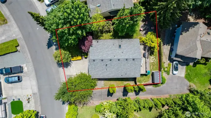 Top view. Lines are appoximate.