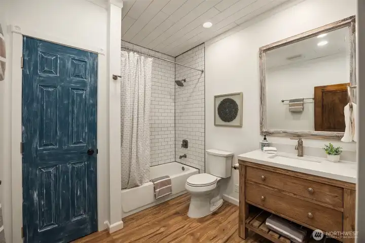 Lower Level Bathroom
