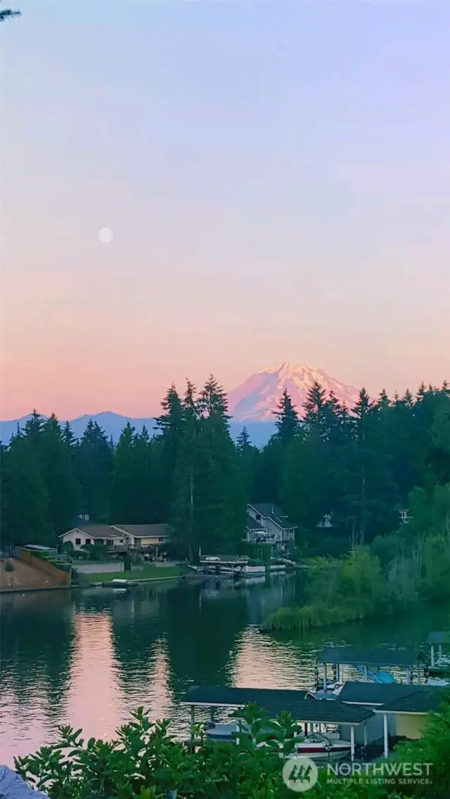 Mt Rainier from middle