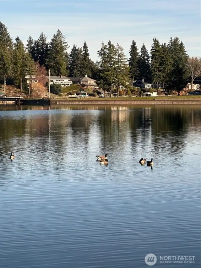 View from boat dock