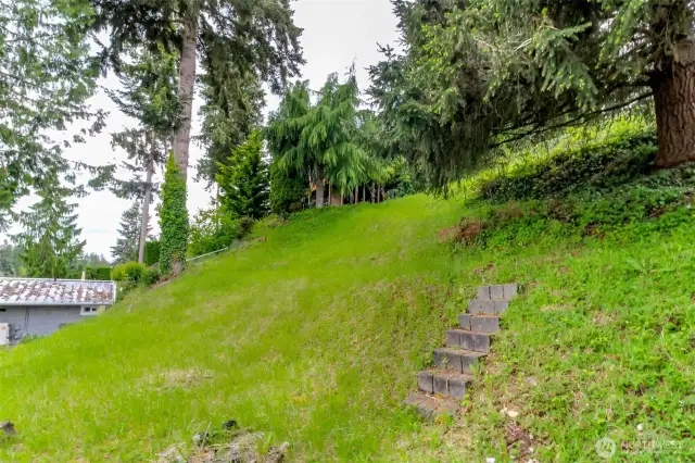 Stairs leading down to lake