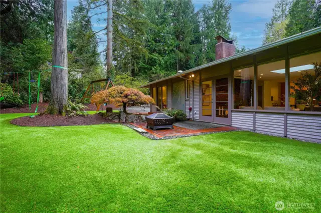 Eco-Friendly Turf-Low Maintenance